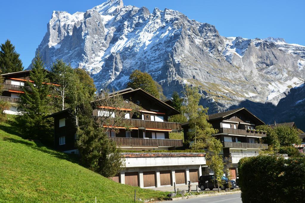 Apartment Schoenegg - Griwa Rent Ag Grindelwald Dış mekan fotoğraf